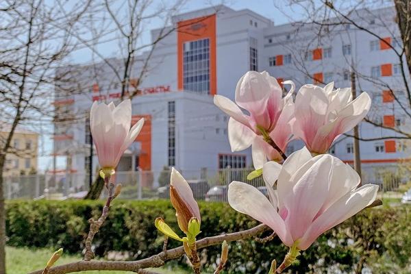
Жара до 28 градусов ожидается 10 мая в Краснодарском крае    