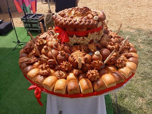 
Кубанская селекция планетарных масштабов                    