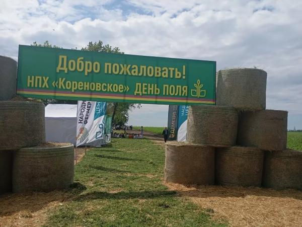
Кубанская селекция планетарных масштабов                    