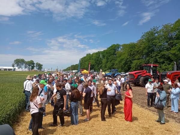 
Кубанская селекция планетарных масштабов                    