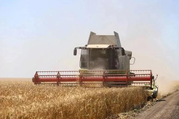 
На Кубани стартовала уборочная кампания                    