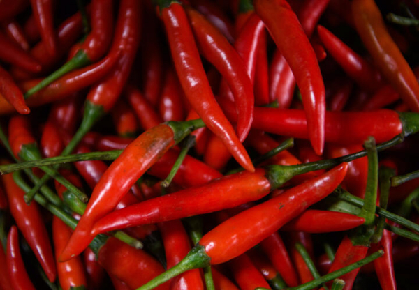 
Острая еда поможет продлить жизнь, заявили учёные
