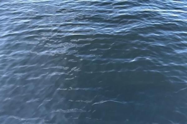 
Тягун унес в море двоих сыновей на глазах отца в Новороссийске    