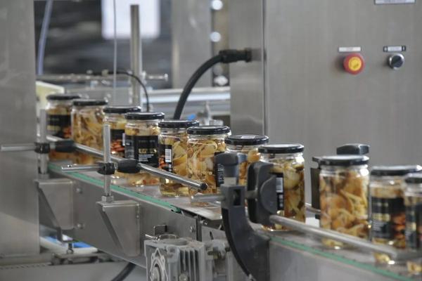 
Овощи, ягоды, грибы: как кубанские аграрии насыщают рынок вкусными и полезными продуктами                    