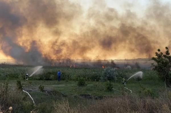 
Спасатели защищают жилые дома от крупного пожара на плавнях в Анапе    