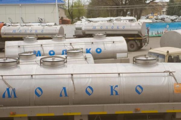 Молочные рубежи: кубанские животноводы не сбавляют набранный темп
Молочные рубежи: кубанские животноводы не сбавляют набранный темп