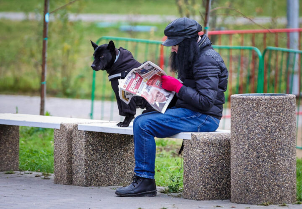 
Хроника кошмарной ночи в Новороссийске, Новороссийск в эпицентре ночного кошмара: ТОП-10 за неделю
