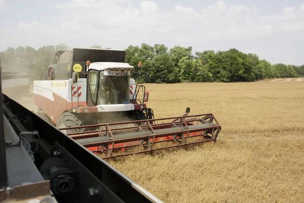 Где гектар, там и возможности: как кубанские аграрии повышают устойчивость своих хозяйств
Где гектар, там и возможности: как кубанские аграрии повышают устойчивость своих хозяйств