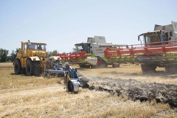 Гектары плодородия: из чего складывается большой хлеб Кубани
Гектары плодородия: из чего складывается большой хлеб Кубани
