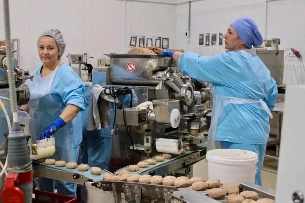 
Порядок на грядках и фермах: как бережливые технологии улучшают кубанский агропром                    