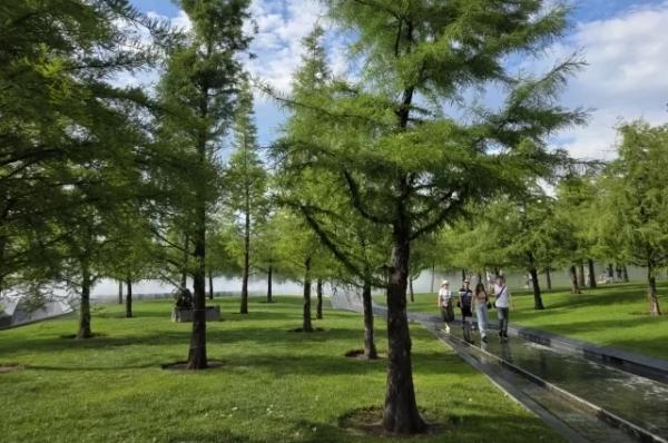 
В Краснодаре обломки БПЛА упали на территории одного из предприятий    
