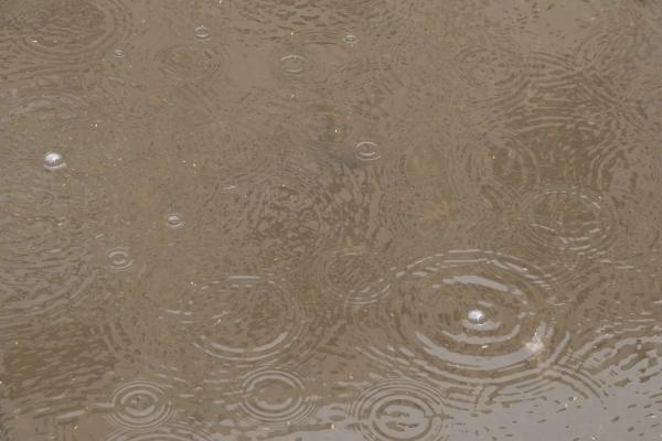 
Улицы ушли под воду: Анапу затопило из-за ливня                    