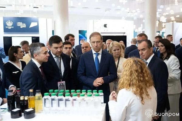 
Заграница нам поможет? Спасибо, мы уже сами придумали!                     