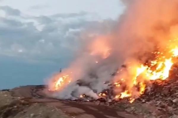 
Для тушения пожара в Новороссийске привлекли дополнительные силы    