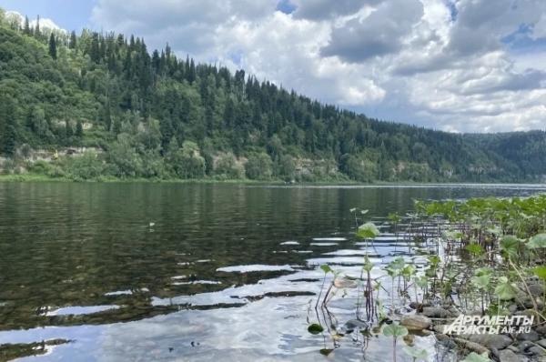В Туапсинском районе предупредили о возможном подъеме уровня воды в реках
В Туапсинском районе предупредили о возможном подъеме уровня воды в реках