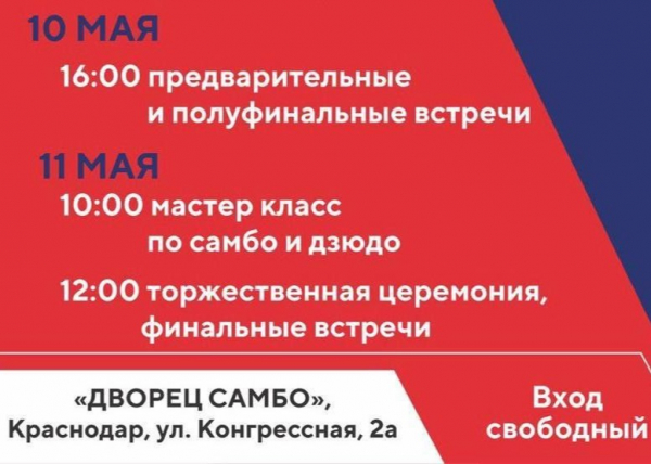 В Краснодаре проведут турнир по самбо &laquo;Доблесть России&raquo; 