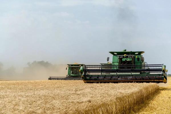 Аграрная опора: как фермеры укрепляют кубанскую экономику
Аграрная опора: как фермеры укрепляют кубанскую экономику