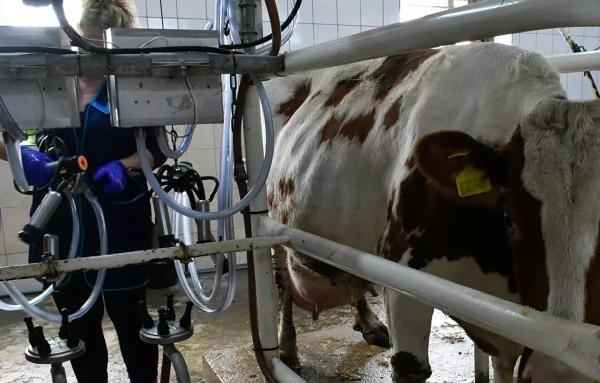 
Бережливые технологии в АПК Кубани: миллиардный эффект для бизнеса и экономики                    