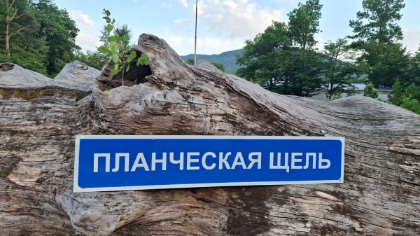 
&laquo;Золотые камни&raquo; Северского района: контрастный ландшафт в Краснодарском крае
