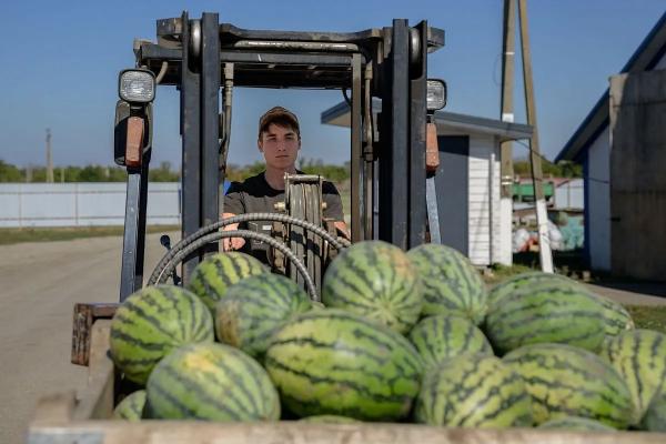 
Кубанские фермеры увеличивают площади орошаемых земель                    