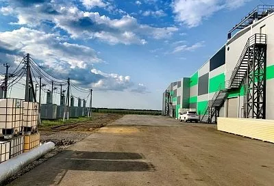 От цветочка к яблочку: какой вклад вносят садоводы в развитие кубанского АПК
От цветочка к яблочку: какой вклад вносят садоводы в развитие кубанского АПК