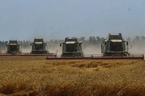 Развитие – как принцип: кубанские аграрии на страже продовольственной безопасности страны
Развитие – как принцип: кубанские аграрии на страже продовольственной безопасности страны