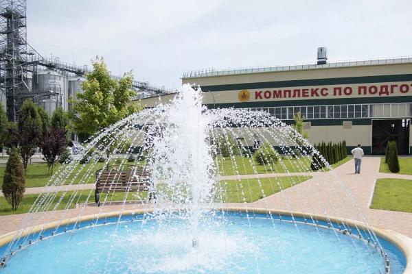 Семена возможностей: кубанский агросектор растет по науке
Семена возможностей: кубанский агросектор растет по науке