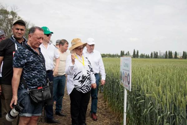 Семена возможностей: кубанский агросектор растет по науке
Семена возможностей: кубанский агросектор растет по науке