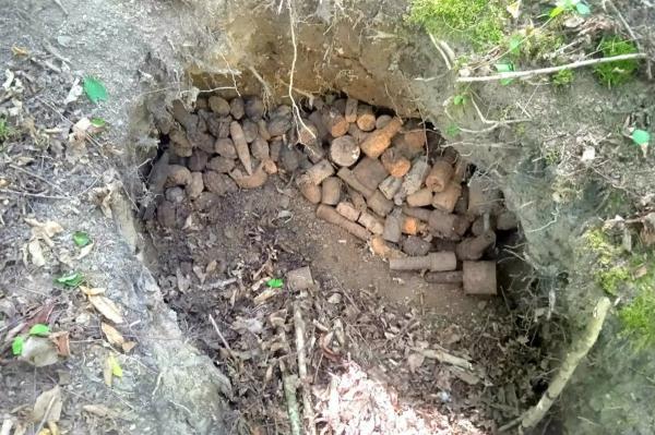 
Заполненную ржавыми боеприпасами яму нашел в лесу житель Туапсинского района                    